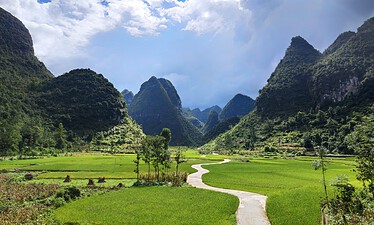 Guizhou, Chinatrip, Green valley with rice fields and a winding concrete path leading toward dramatic, tree-covered karst mountains under a partly cloudy sky
