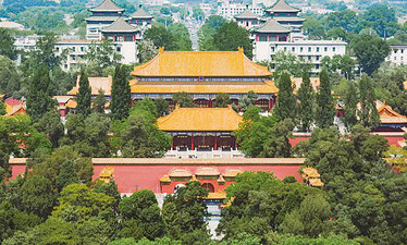 the forbidden city, Beijing, chinatravel, Aerial view of Beijing's Forbidden City with orange tiled roofs and surrounding trees.