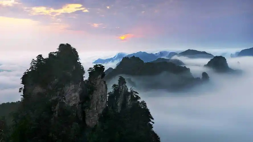 wulingyuan naitional park, zhangjiajie, hunan, china tour, Mountains rising above a sea of clouds at dawn, with mist at their bases and a pale sun peeking through a pink sky.