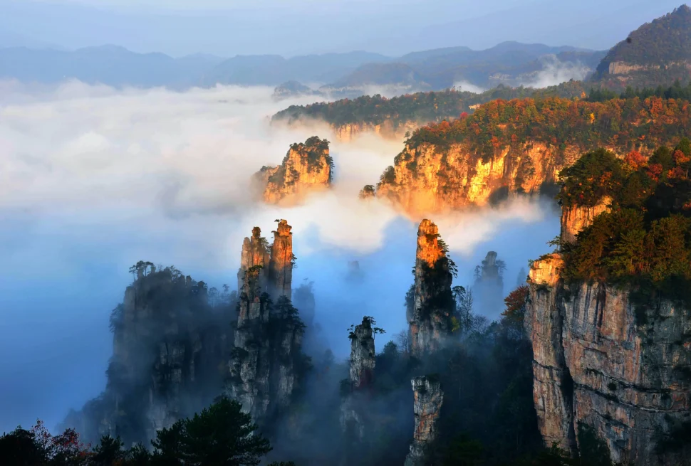 wulingyuan naitional park, zhangjiajie, hunan, china tour, Tall rock spires rise through a thick morning fog in a sunlit canyon with forests clinging to the cliffs.
