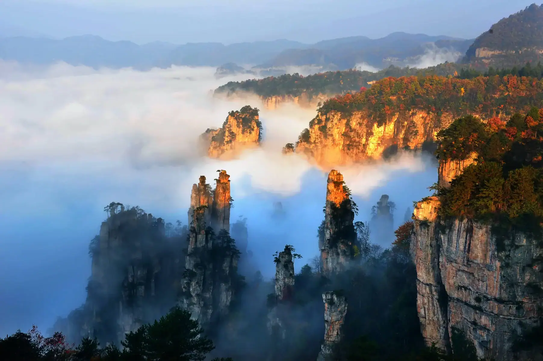 wulingyuan naitional park, zhangjiajie, hunan, china tour, Tall rock spires rise through a thick morning fog in a sunlit canyon with forests clinging to the cliffs.