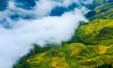 Miao Village View in Guizhou, china, china tour, Aerial view of terraced rice fields in green and gold, with clouds drifting over a misty valley.