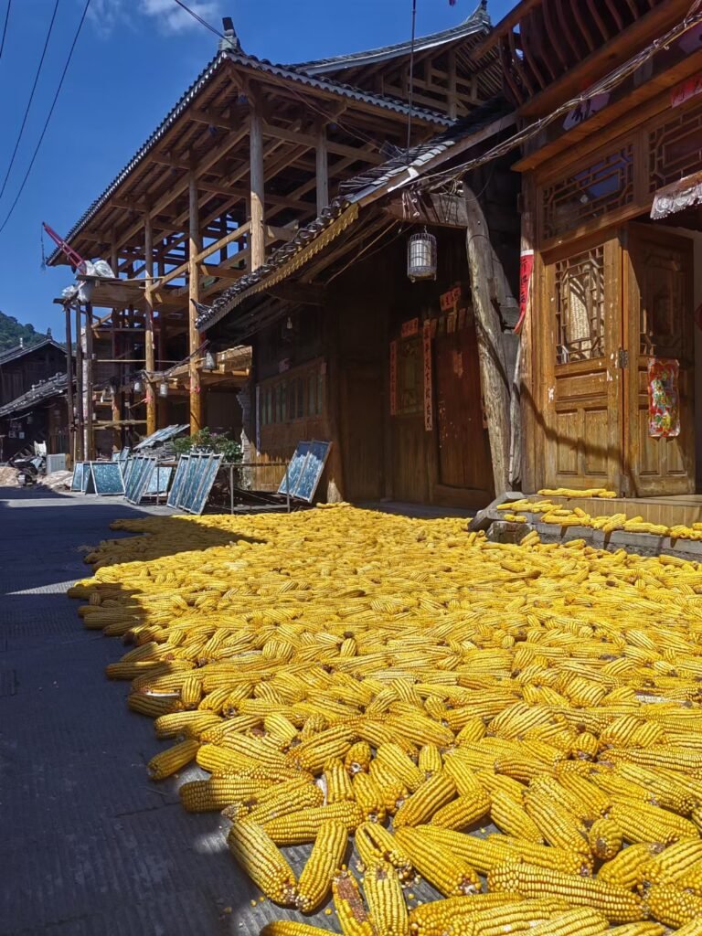 Miao Village View in Guizhou