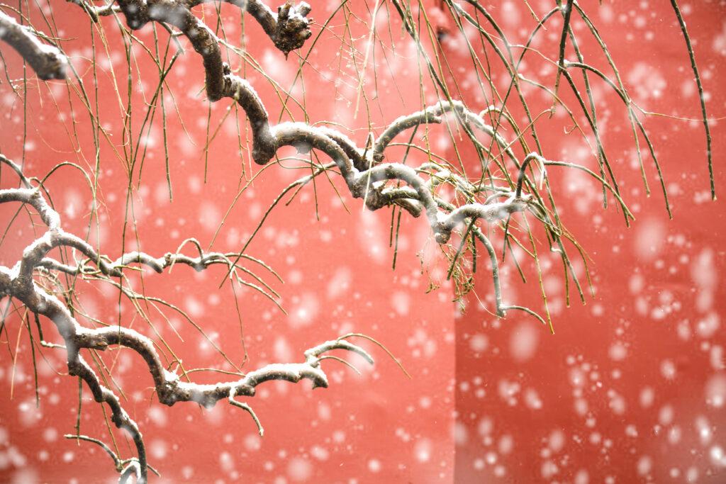 Snowy view of the Forbidden City