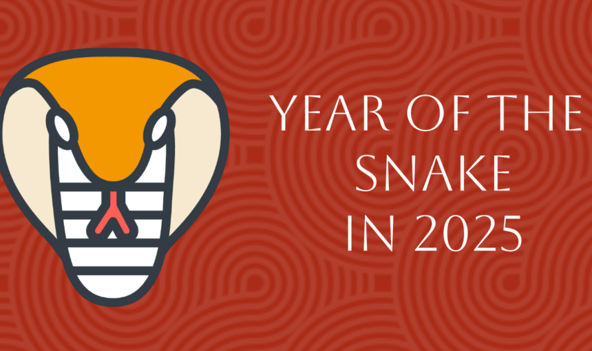 Chinese Zodiac 2025: Year Of The Snake Forecast