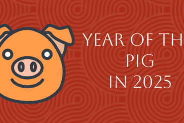 Chinese Zodiac 2025: Complete PIG Forecast in Year of Snake, chinatrip, Cartoon pig head on the left with a friendly smile, against a red patterned background and text 'Year of the Pig in 2025' on the right.