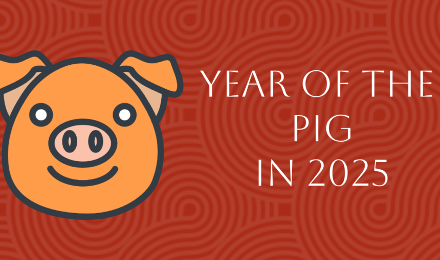 Chinese Zodiac 2025: Complete Pig Forecast in Year of Snake