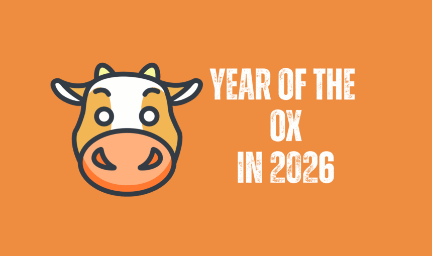 Your complete Chinese Zodiac Predictions 2026 for the Ox