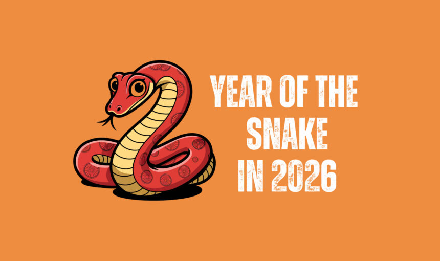 Chinese Zodiac 2026: Year Of The Snake Forecast