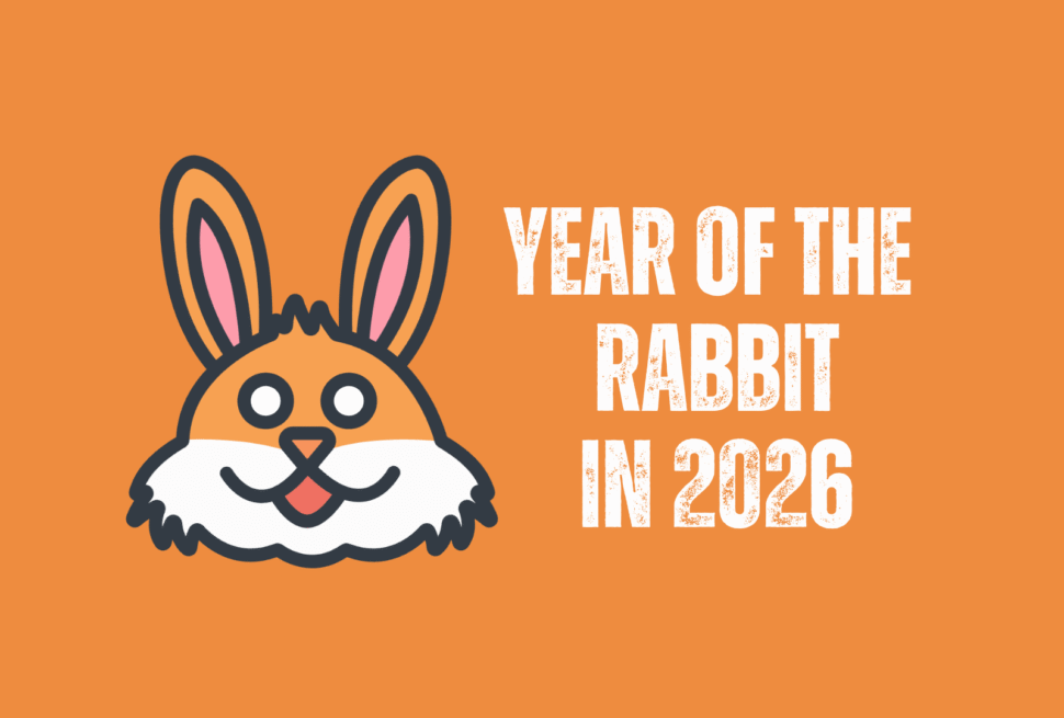 rabbit, chinese zodiac 2026, chinatravel, Cartoon orange banner with a bunny face on the left and the message 'Year of the Rabbit in 2026' on the right.