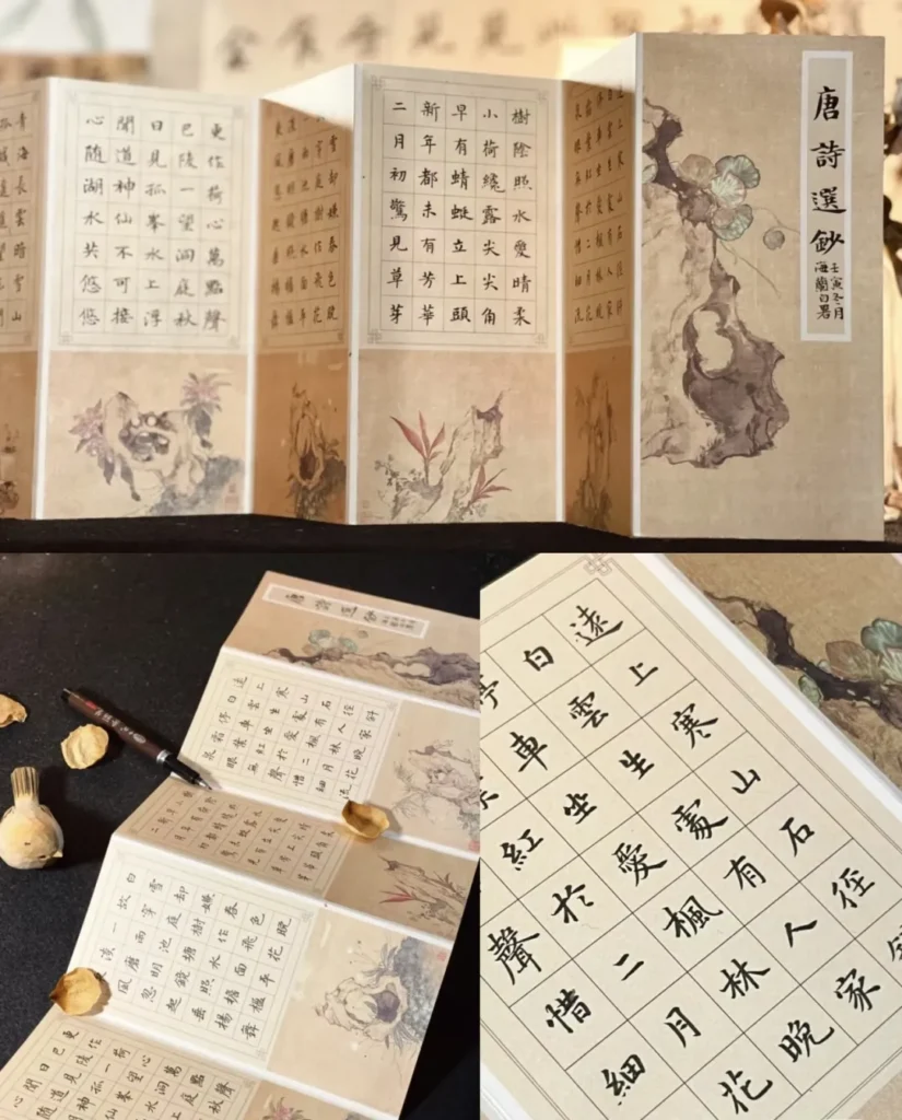 A detailed image of a traditional Chinese accordion-style book displaying Tang dynasty poetry, written in calligraphy. The pages are adorned with delicate ink illustrations of natural scenes, including flowers and rocks. A fountain pen and dried flower petals lie beside the book, adding to the artistic, cultural ambiance.