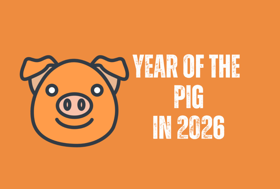pig, chinese zodiac 2026, chinatravel, Cartoon pig face on an orange background with the text 'Year of the Pig in 2026' to the right.