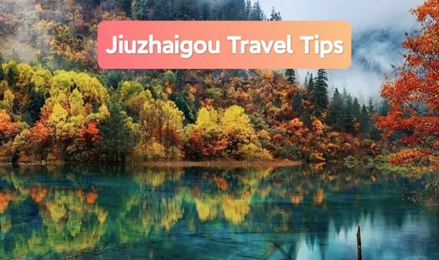 Ultimate Jiuzhaigou Autumn Travel Guide: the Best Sichuan Scenic Wonder