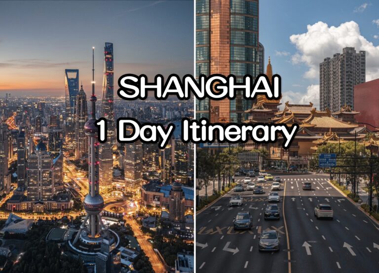 Shanghai 1 day Itinerary