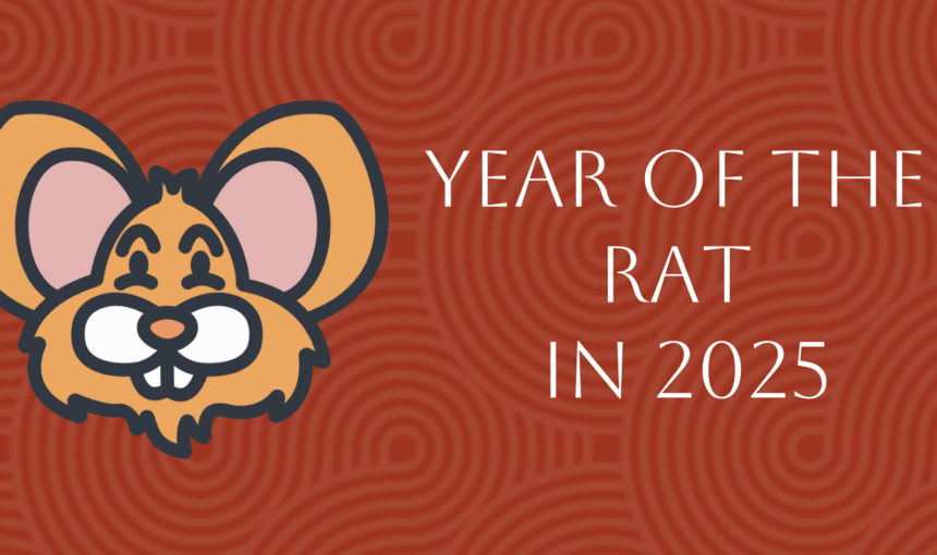 Chinese Zodiac 2025 for Rat Sign Predictions: Complete Guide to the Year of the Snake