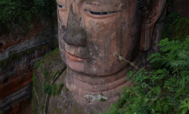 Leshan Giant Buddha, sichuan, china, chinatrip, Large weathered stone Buddha head carved into cliff, with closed eyes and leafy surroundings nearby.