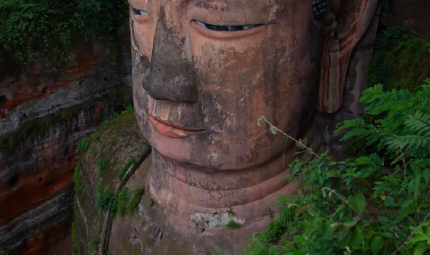 One-Day Tour: Chengdu Panda Base & Leshan Giant Buddha Experience