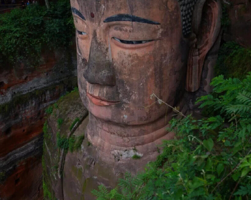 leshan giant Buddha, sichuan, china tour, Massive stone Buddha head carved into a cliff, with closed eyes and dark eyebrows, surrounded by greenery.