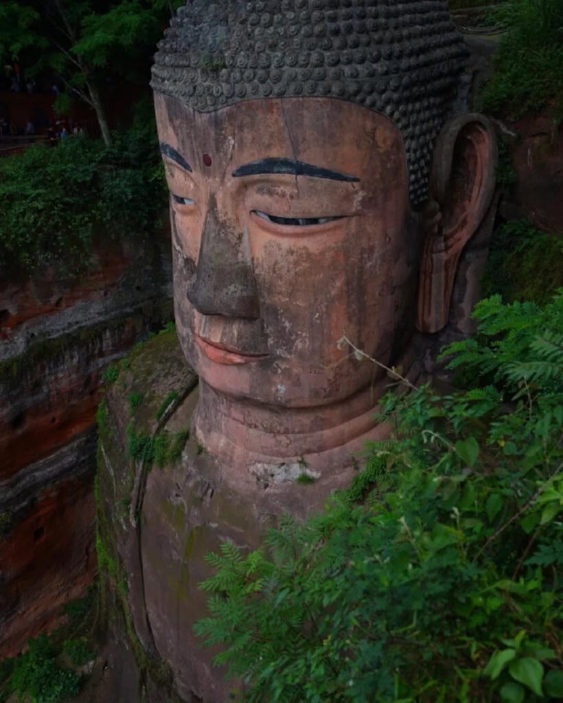 leshan giant Buddha, sichuan, china tour, Massive stone Buddha head carved into a cliff, with closed eyes and dark eyebrows, surrounded by greenery.
