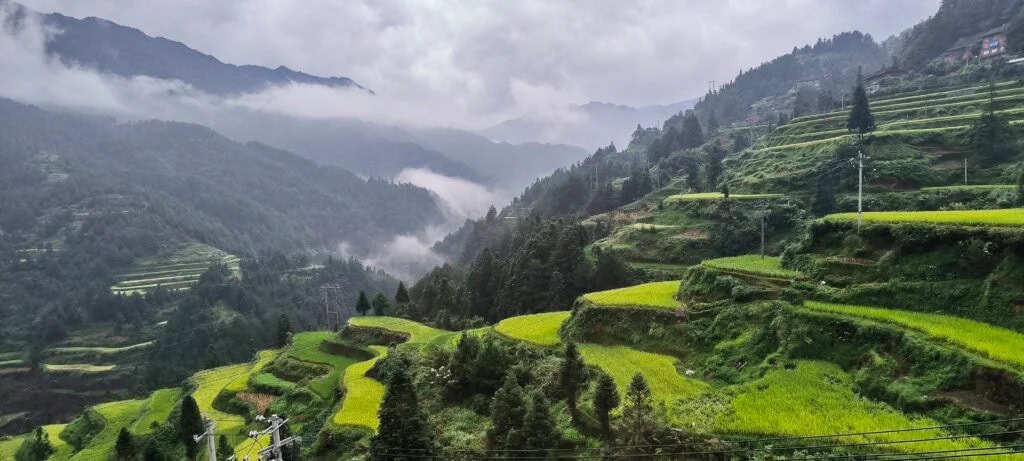 Guizhou Province, China tour, Terraced green rice fields on a mountainside with misty hills in the background