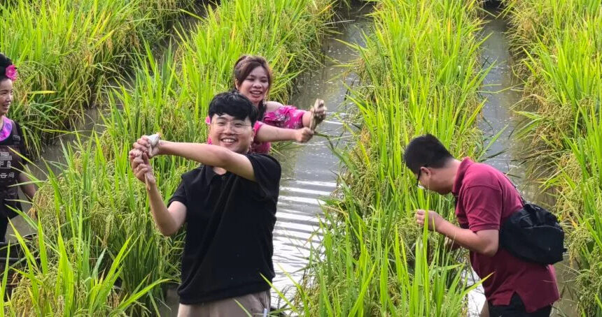 How to Balance Sightseeing and Relaxation in Your Guizhou Itinerary
