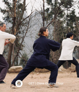 wudang taichi, hubei, china, chinaexplorertour, Three people practicing martial arts in an outdoor, rocky park with bare trees in the background.