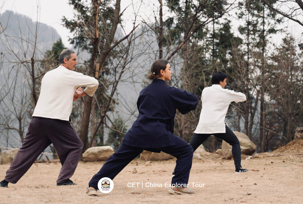 wudang taichi
