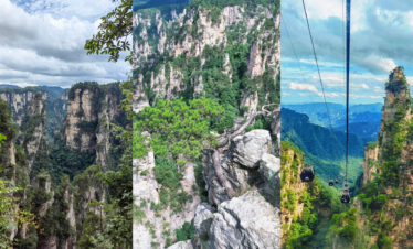 Zhangjiajie National Forest Park, hunan, china, chinatrip, View of towering limestone pillars and green forests in a canyon, with a branch in the foreground on the left.