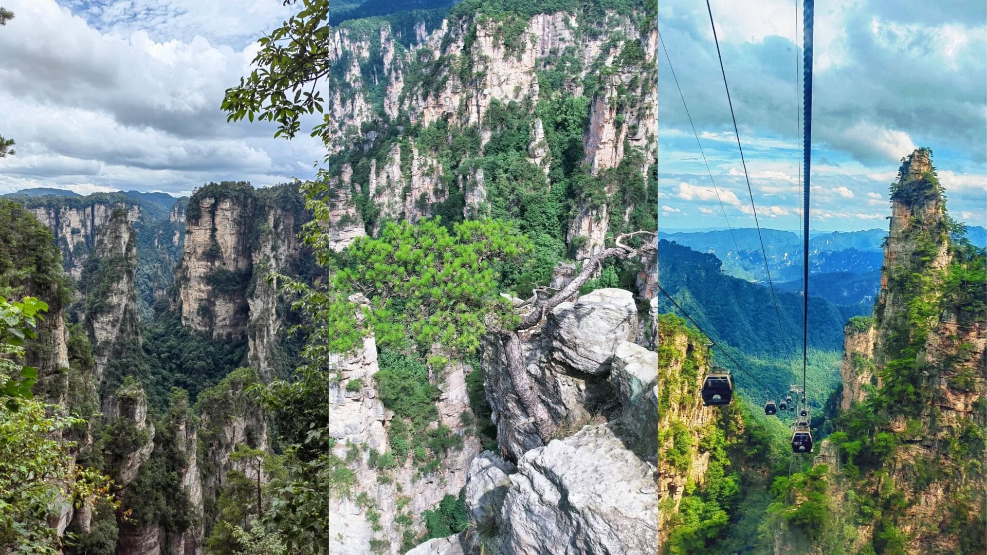 Zhangjiajie National Forest Park, hunan, china, chinatrip, View of towering limestone pillars and green forests in a canyon, with a branch in the foreground on the left.