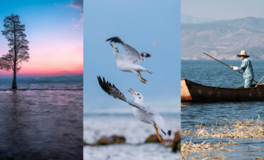 8-Day Yunnan Culinary Cultural Adventure, china, china tour, Triptych collage: left panel a solitary tree by calm water at sunset with pink and blue sky; center panel seagulls in flight; right panel a fisherman in a boat with a long pole on a lake.