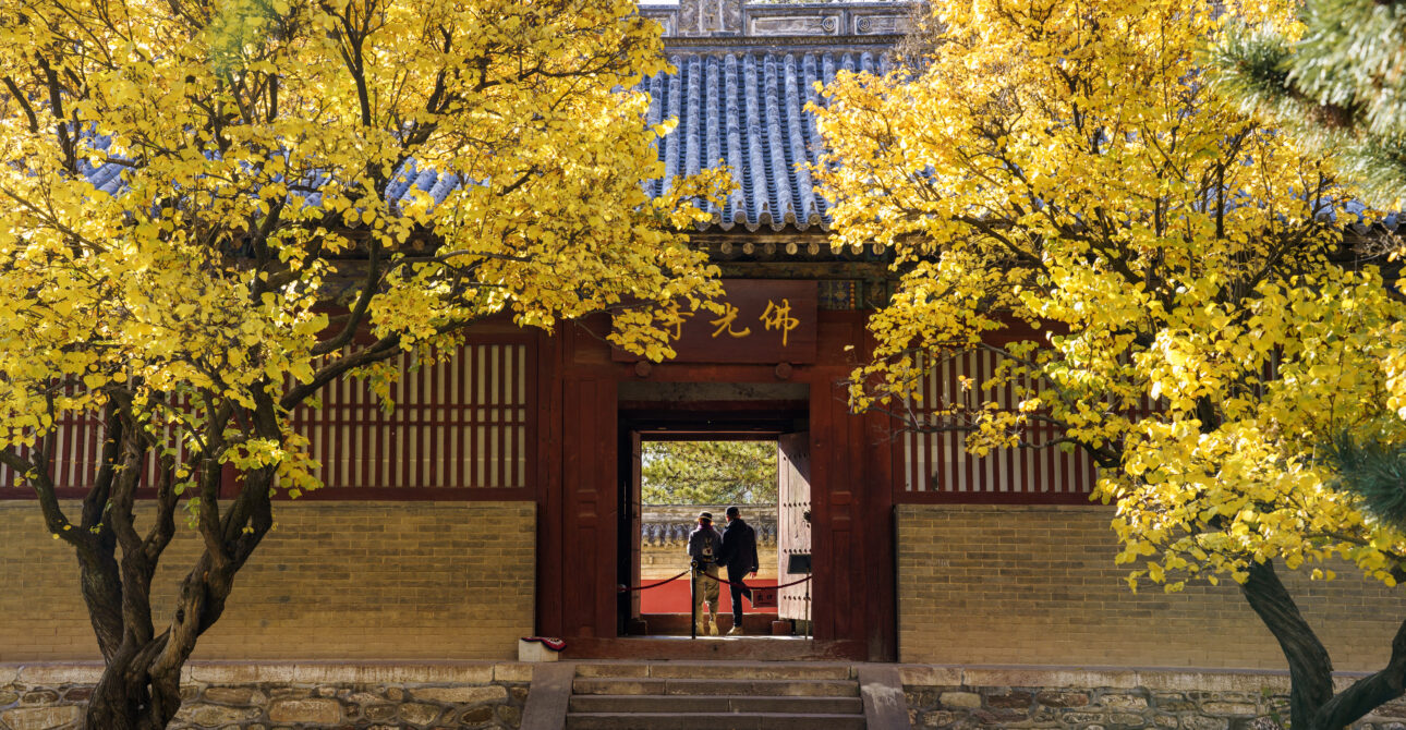 Wutai Mountain: A Must-Visit Destination for China Travel Enthusiasts