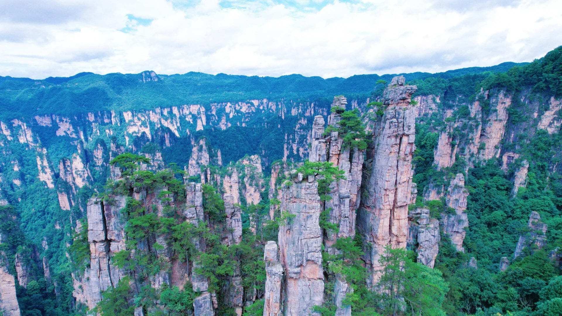 Zhangjiajie National Forest Park, hunan, china, chinatrip, Tall sandstone pillars rise from a forested canyon, lush green trees clinging to the cliffs under a cloudy blue sky.
