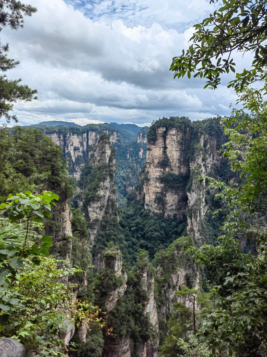 Zhangjiajie National Forest Park, hunan, china, chinatrip, Towering sandstone columns in a lush canyon, with dense green forest on the cliffs and a cloudy sky above.