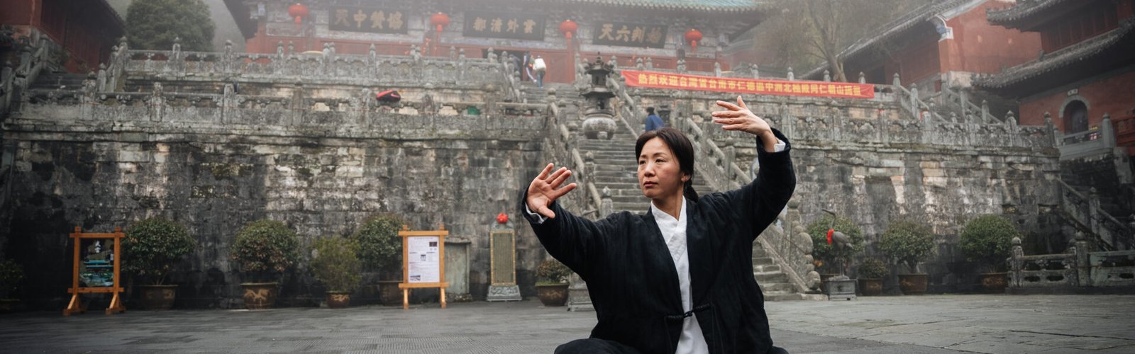 Wudang Mountain Tai Chi