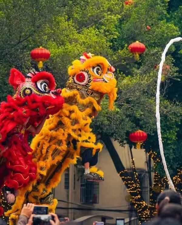 Chinese Lunar New Year Lion Dance