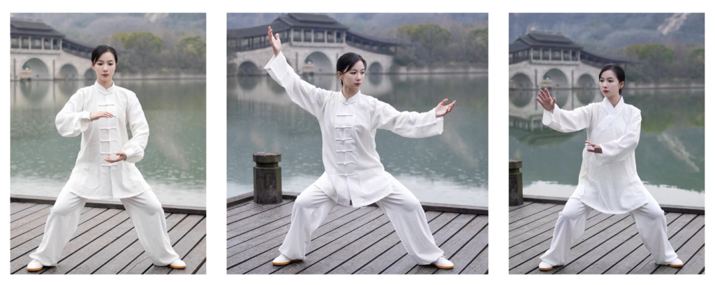 Wudang Mountain Tai Chi