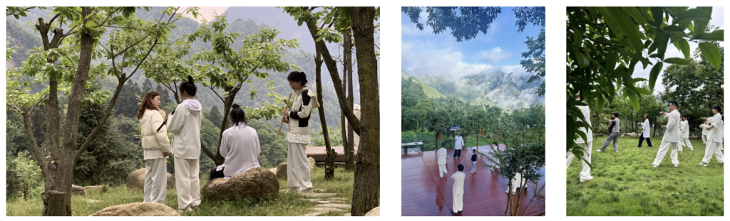 Wudang Mountain Tai Chi