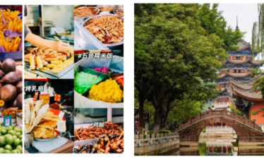 8-Day Yunnan Culinary Cultural Adventure, china, china tour, Colorful collage of street foods and market stalls with Chinese labels on each panel.