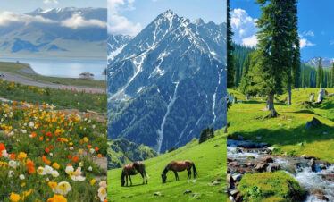 north xinjiang, western china, china tour, Collage of three landscapes: wildflower meadow by a lake, snow‑capped mountain, and forested meadow with a stream.