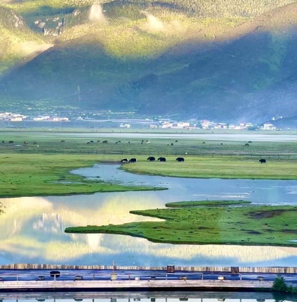 Napahai Lake