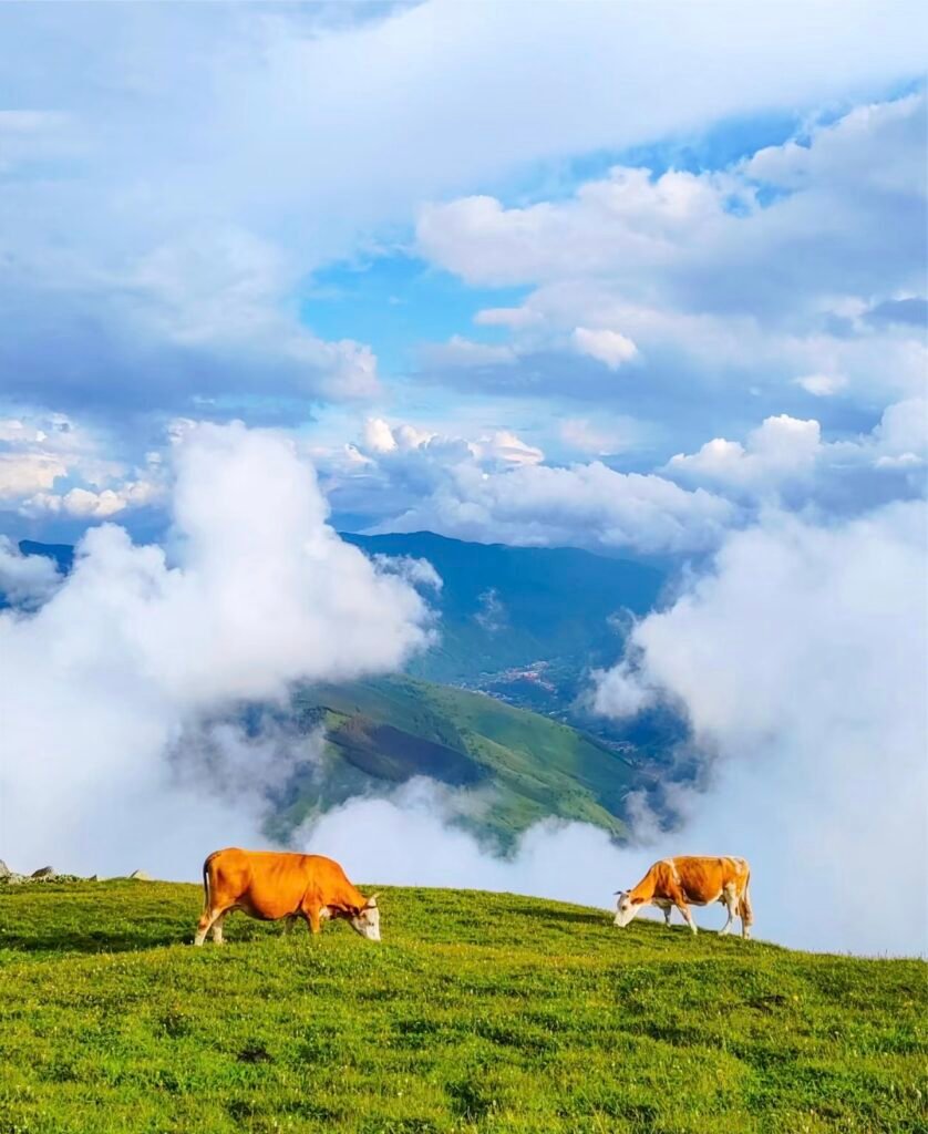 Mount Wutai hiking