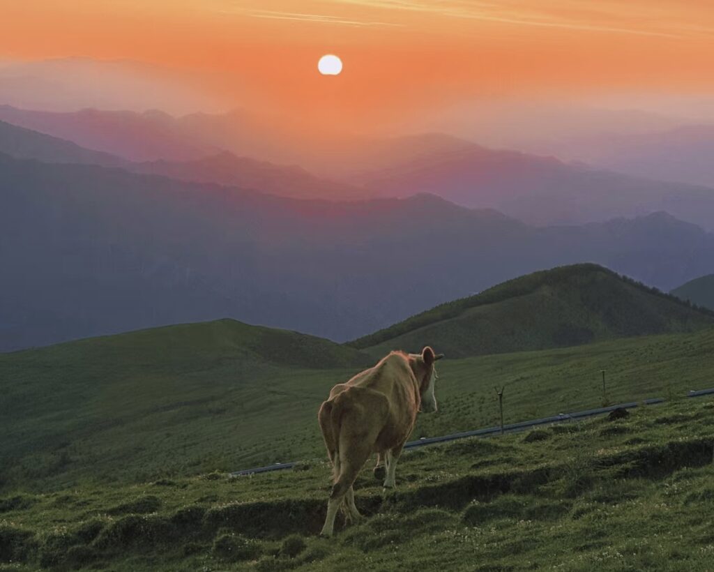 Mount wutai nature