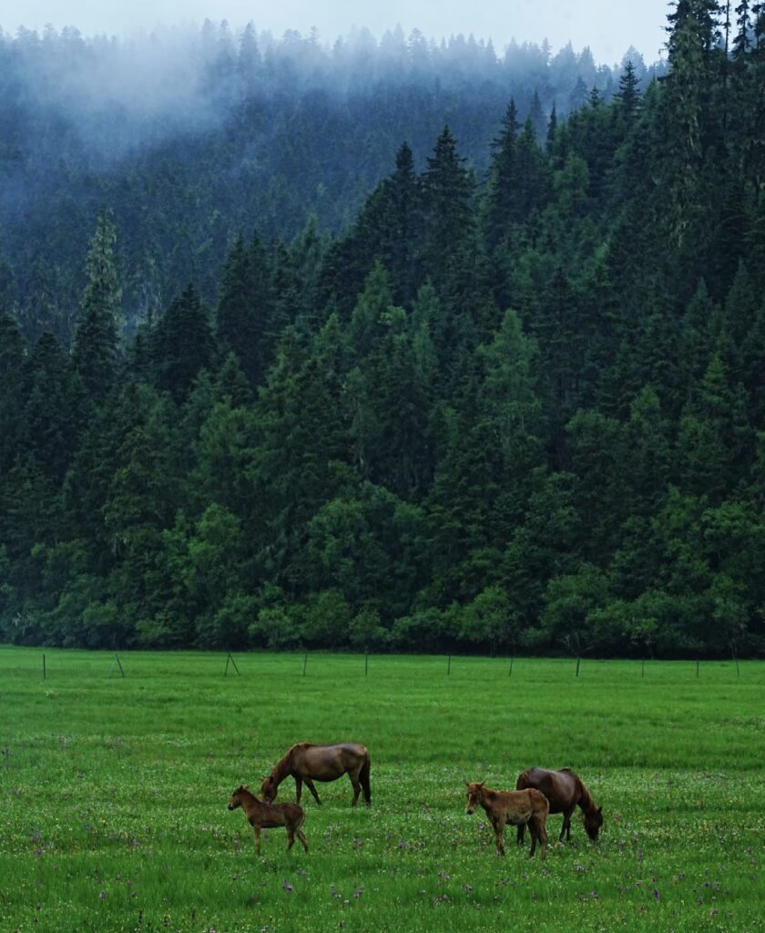 Potatso National Park