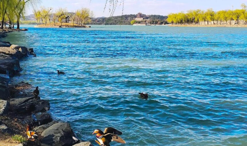 Summer Palace depth travel guide