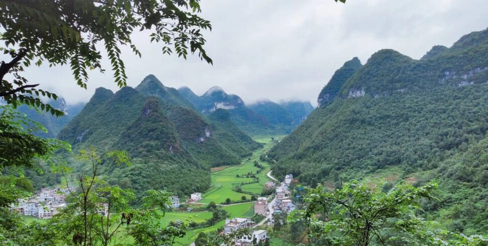 guizhou, chinatravel, Lush green valley with a winding road and small village nestled among towering karst mountains.