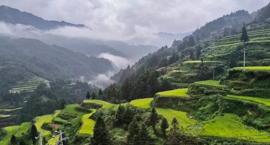 The Ideal Travel Choice for Seniors: Private Tailored Tours with China Explorer Tour