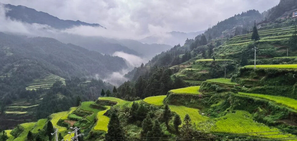 guizhou, chinatravel, Terraced green fields on a mountainside with misty valleys in the distance and cloudy sky.