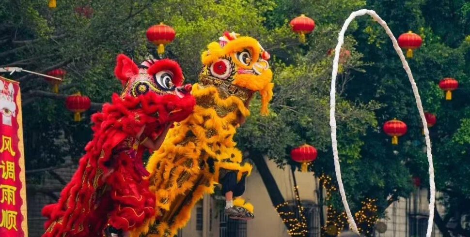 lion dance, zhanjiang, chinatravel, Red and yellow Chinese lion dancers leap through a hoop during a festival, with red lanterns and festive banners in the background