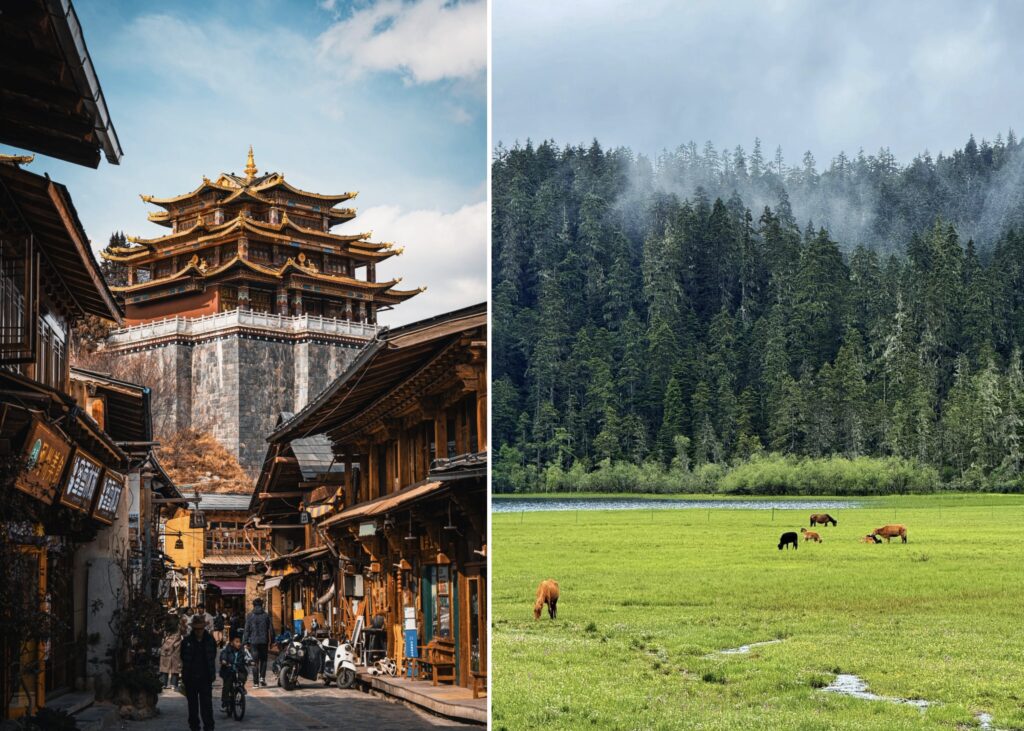 Dukezong Ancient Town and Pudacuo National Park