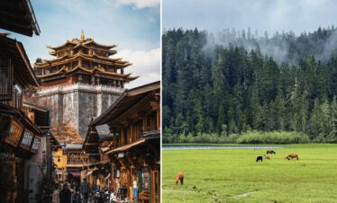 Dukezong Ancient Town and Pudacuo National, Yunnan, chinatrip Park, Split image: left a traditional Chinese pagoda in a bustling street, right a green meadow with grazing cows and a misty forest in the background